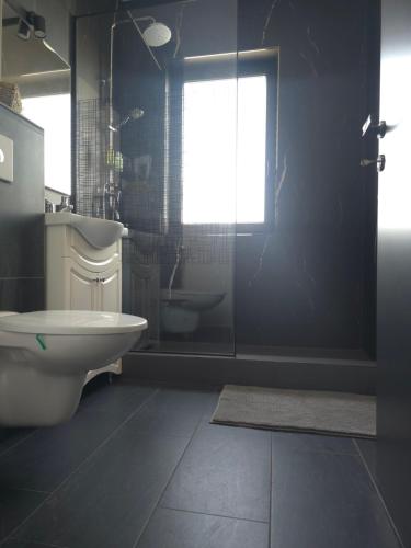 a bathroom with a toilet and a glass shower at Marcus Residence Apartment in Satu Mare