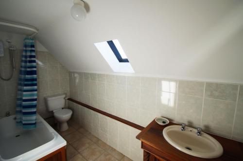 a bathroom with a sink and a toilet and a skylight at Y Felin - The Mill in St. Davids