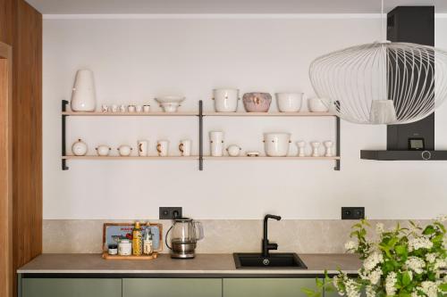 a kitchen with shelves with ceramics and a sink at Albatross Home in Ķesterciems