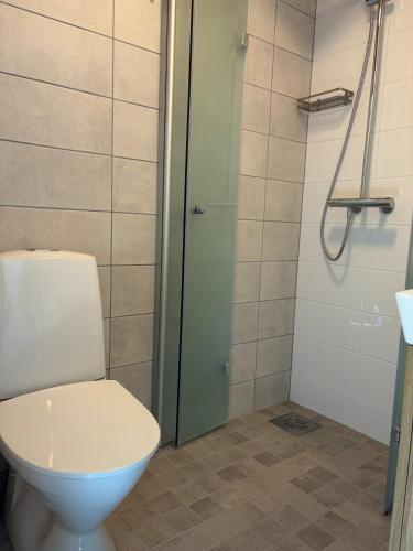 a bathroom with a toilet and a shower at Aia Home in Kuressaare