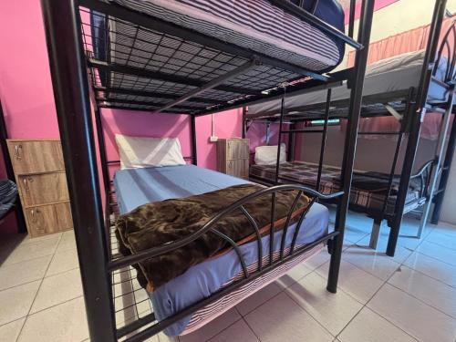 a couple of bunk beds in a room at Pink Hostel in Ko Tao