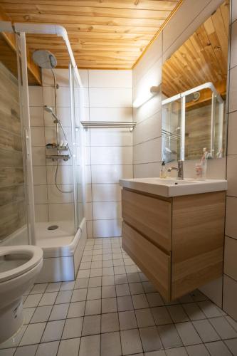 a bathroom with a shower sink and a toilet at La Lobio in Molines-en-Queyras