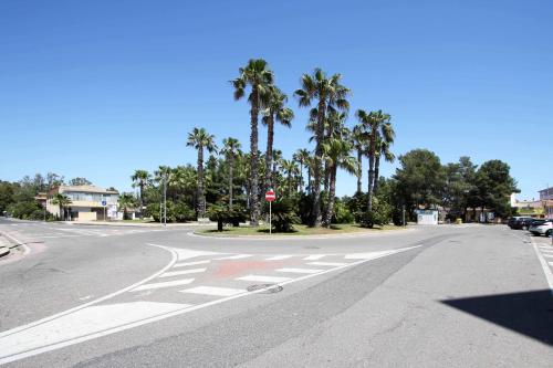 an empty street with palm trees and a crosswalk at La Terrazza sul Mare - Sa Murta Apartments in Torre Grande