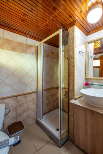 a bathroom with a shower and a sink at Kato Stalos Mare in Stalos