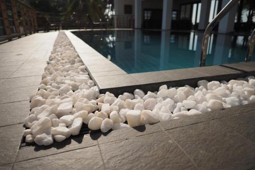 a flock of ducks sitting next to a swimming pool at The Seascape in Matara