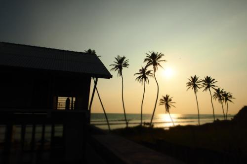 um grupo de palmeiras na praia ao pôr do sol em The Seascape em Matara