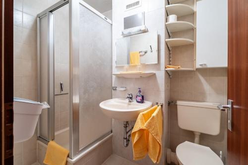 a bathroom with a shower and a sink and a toilet at Appartement Bergluft in Sasbachwalden