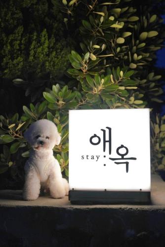 a stuffed teddy bear sitting next to a clock at Stay Aeok Jeju in Seogwipo