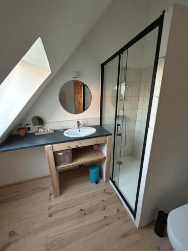 a bathroom with a sink and a glass shower at Le Clos d'Hydrequent in Rinxent
