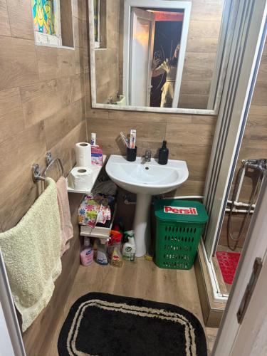 a small bathroom with a sink and a mirror at Ambijent house Patrijaha Pavla 22 in Železnička Stanica Ovčar Banja