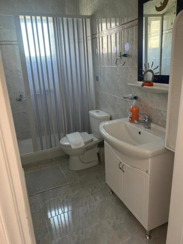 a bathroom with a toilet and a sink and a shower at Mystegna beach 1 in Skala Mistegnon