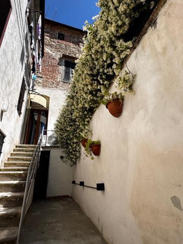 Foto de la galeria de La Casina a Arezzo