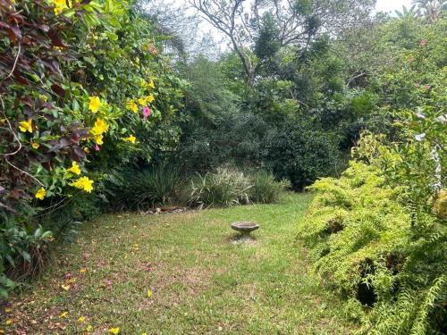 a bird bath sitting in the middle of a garden at 46 Minerva Avenue in Pennington