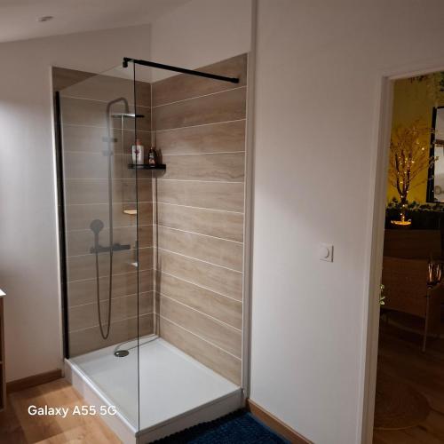 a shower with a glass door in a room at Suite Canopée & Spa in Albi