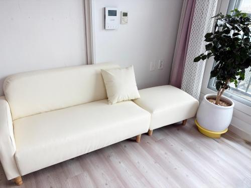 a white couch in a room with a potted plant at 깨비하우스202 in Wŏlsan