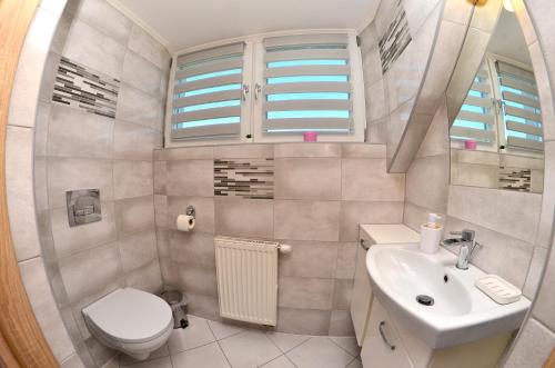 a small bathroom with a toilet and a sink at Przystanek Prządki in Czarnorzeki