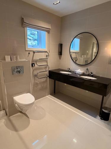 a bathroom with a toilet and a sink and a mirror at Geirangerbooking in Geiranger