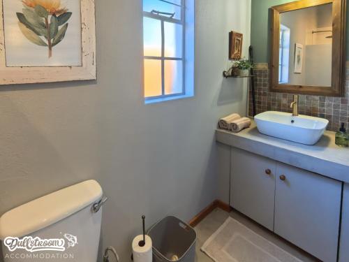 a bathroom with a toilet and a sink and a mirror at Suikerbosch Room 1 and Room 2 in Dullstroom