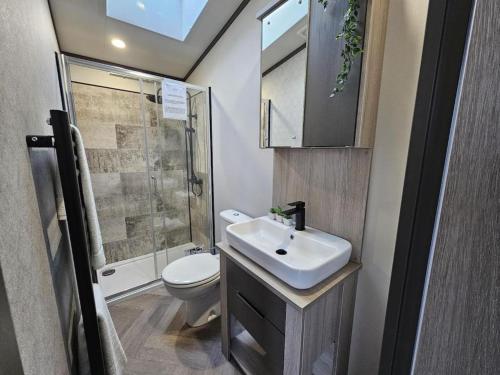 a bathroom with a sink and a toilet and a shower at Robin Lodge in Amotherby