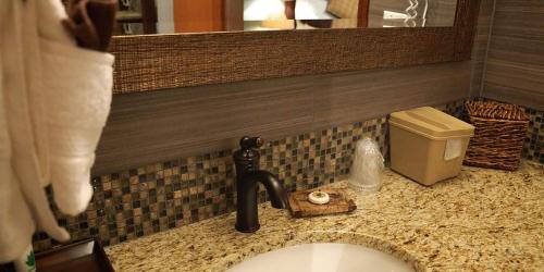 a bathroom counter with a sink and a mirror at Mountain View Lodge in Chelan