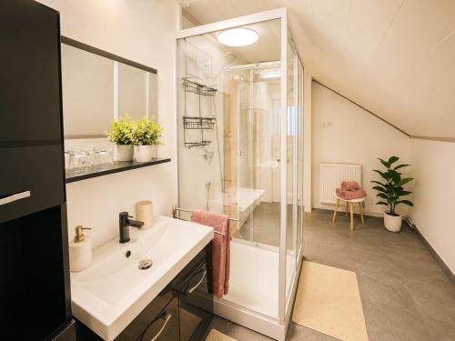 a bathroom with a sink and a shower at Haus Erna Weitra in Weitra