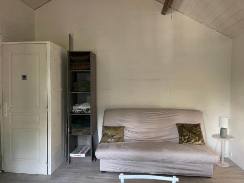 a living room with a couch and a book shelf at Chalet Eden Insolite in Pionnat