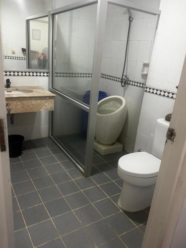 a bathroom with a shower and a toilet and a sink at Ocean Breeze Carita in Carita