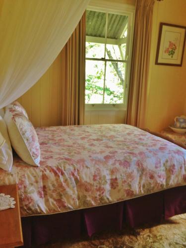 a bedroom with a bed with a window at Mt Barney Lodge in Barney View