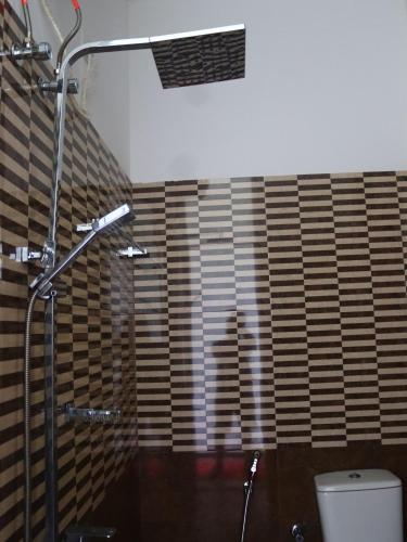 a bathroom with a shower stall and a toilet at RT Point Gombamiya Hotel Kandy in Huluganga