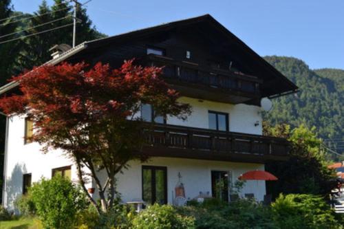 Luxescape Ferienwohnung Steindorf - Ossiachersee - Wander-Schwimmen - Erlebnis Card