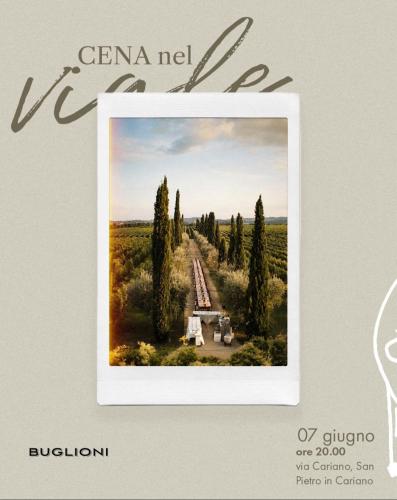 a picture of a road in a field with trees at Dimora Buglioni Wine Relais in San Pietro in Cariano