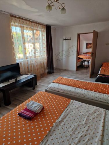 a living room with two beds and a piano at Apartament Maia in Turda