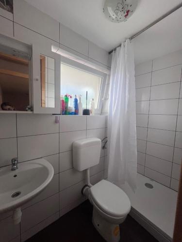 a bathroom with a toilet and a sink and a window at Prenoćište TG in Tomislavgrad
