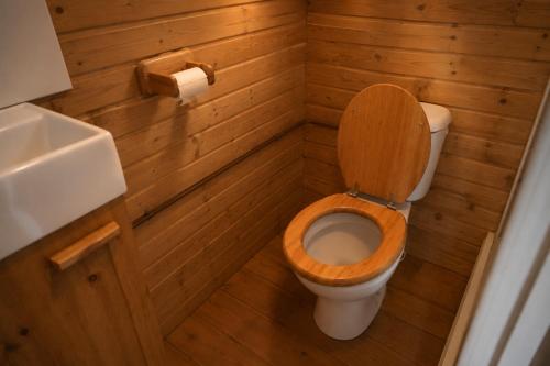 a small bathroom with a toilet and a sink at Chalet in de Ardennen Comfort & Stilte The Wood in Amblève