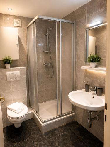 a bathroom with a shower and a toilet and a sink at Alpine Studio near Bad Ischl in Bad Ischl