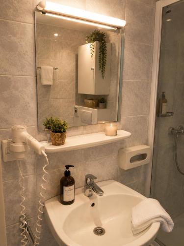 a bathroom with a sink and a mirror at Alpine Studio near Bad Ischl#2 in Haiden