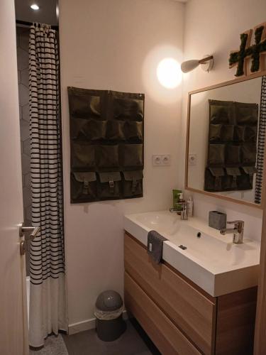 a bathroom with a sink and a mirror at Maison centre-ville, Vue château, Hellfest, Clisson in Clisson