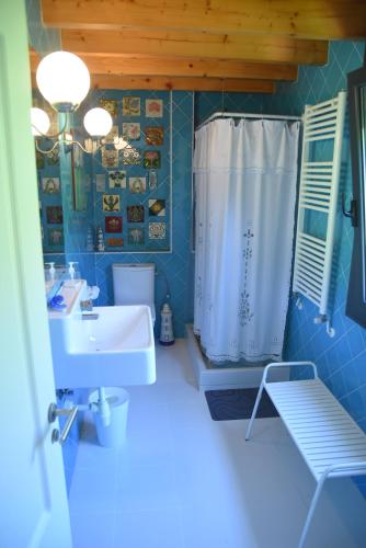 a blue bathroom with a shower and a sink at Villa La Pinpa in Bárcena de Cicero