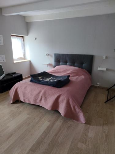 a bedroom with a large bed with a pink blanket at L'Annexe - Bis in Chalindrey