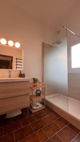 a bathroom with a shower and a sink and a mirror at Charmante maison Porticcio in Porticcio