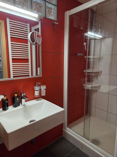 a red bathroom with a sink and a shower at Apartmán Kräm in Klatovy