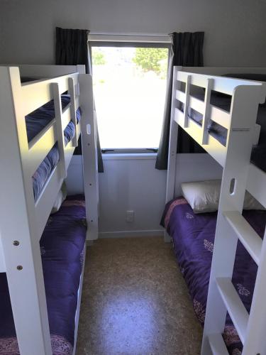 a bedroom with two bunk beds and a window at Russell-Orongo Bay Holiday Park in Russell