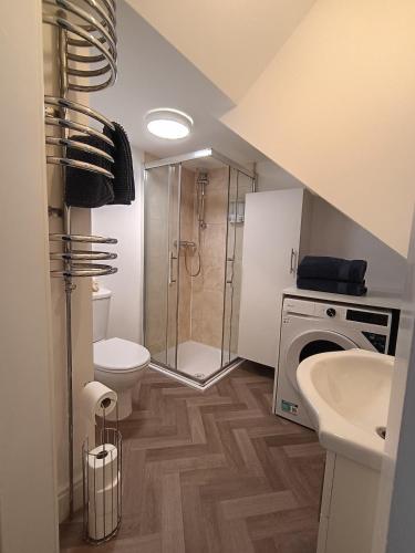 a bathroom with a shower and a toilet and a sink at The Loy Guest Apartment in Cookstown