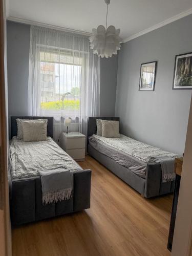 a bedroom with two beds and a window at Apartament Przytulny 2, self check-in, blisko lotniska in Trzebownisko
