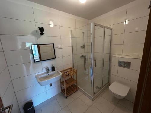 a bathroom with a shower and a sink and a toilet at Barn House in Ptuj