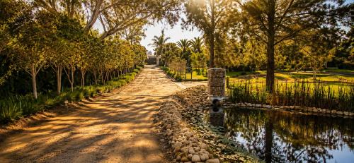 a dirt road next to a pond with trees at Alimandi Villa in Klapmuts
