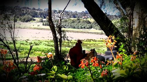 a statue of a bear sitting in the grass at A La Folly The Retreat in Murray Bridge