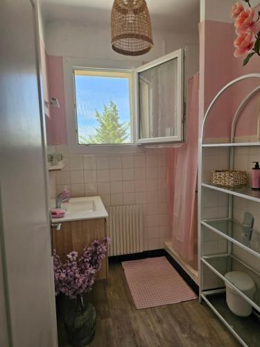 a small bathroom with a sink and a window at Partie de villa in Velleron