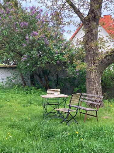 a table and bench in the grass next to a tree at Haus Prälank in Neustrelitz
