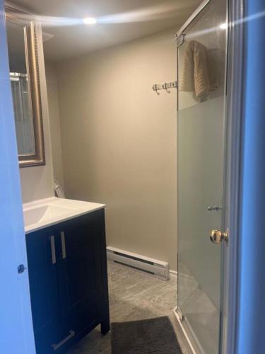 a bathroom with a sink and a glass shower at ocean view two bedroom suite in Oak Bay